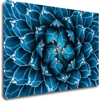 Obraz Impresi Obraz Modrý květ - 60 x 40 cm