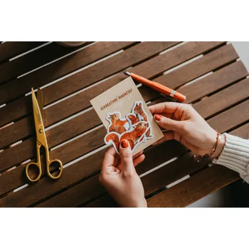 Dekorativní magnet ePiPí Dekorativní magnetky - Veverky