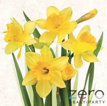 Papírový ubrousek Ubrousky 'Daisy' 33x33 cm 3N (20 ks) - narcisy žluté