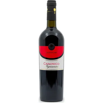 Due Palme | Negroamaro Canonico IGP Salento | 2020 | 0,75 l Ročník: 2022
