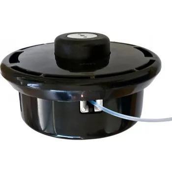 Strunová hlava Strunová hlava