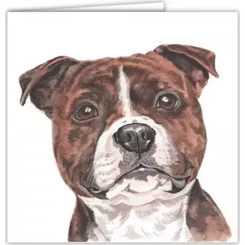 Přání v obálce Stafordširský bulteriér hnědý, WD 16,5 x 16,5 cm (Blahopřání s obálkou s pejskem, psi, pes)