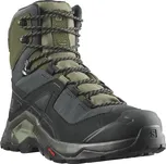 Salomon Pánské boty Quest Element GTX EU 42 ⅔, Black/Deep Lichen