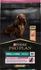 Krmivo pro psa Purina Pro Plan Small & Mini Adult Dog Sensitive Skin Salmon