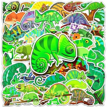 samolepka Samolepky chameleon