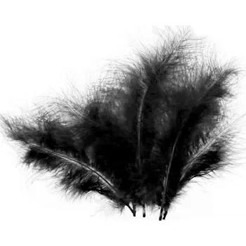 Peří Černé cca 15cm, 50ks