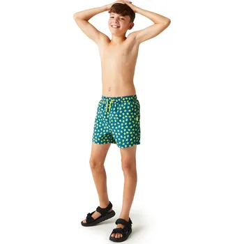 Chlapecké kraťasy Chlapecké šortky Regatta SKANDER III zeleno-modré - Modrá, 122-128