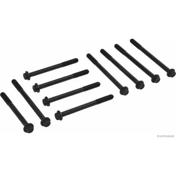 Spojovací materiál motoru Sada sroubu pro hlavy valcu HERTH+BUSS JAKOPARTS J1281032