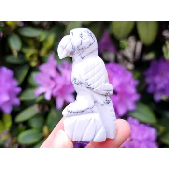 Přírodní kámen Papoušek z howlitu ručně vybroušený 63g Indie