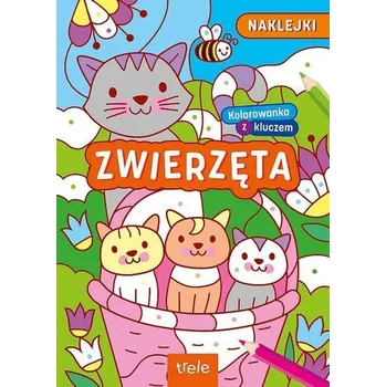 První čtění Kolorowanki z kluczem. Zwierzęta - opracowanie zbiorowe