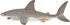Figurka ZOOted Žralok bílý 17 cm