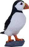 Mojo Papuchálek obecný