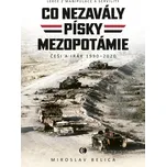 Co nezavály písky Mezopotámie: Lekce z…
