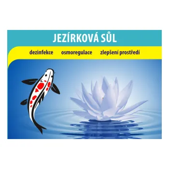 Kuchyňská sůl Jemná jezírková sůl bez jódu 25 kg