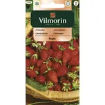 Vilmorin Classic Rugia lesní jahoda 0,2…