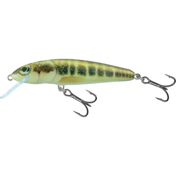 Wobler Salmo Minnow 6cm Floating Minnow