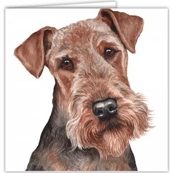 Přání v obálce Airedale teriér, WD 16,5 x 16,5 cm (Blahopřání s obálkou s pejskem, psi, pes)