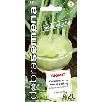 Semeno Dobrá semena Kedluben bílý - Gigant pozdní 0,8g