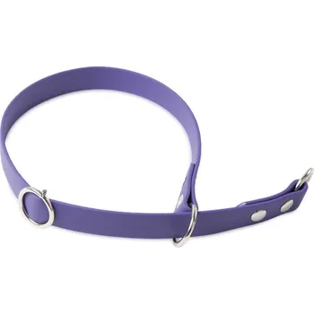 Obojek pro psa Firedog BioThane Obojek Sport 19mm 60cm Barva: Fialová