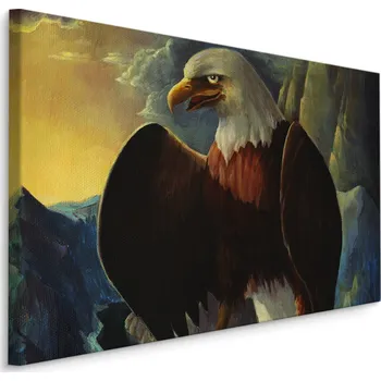 MyBestHome BOX Plátno Orel V Horách Varianta: 30x20