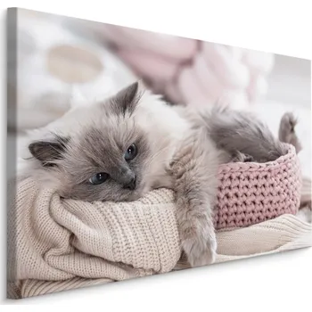 Dekorativní polštářek MyBestHome BOX Plátno Kočka S Pletenou Dekou Varianta: 30x20