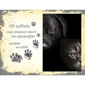 Rám na obraz Fotorámeček sklo ,,ZVÍŘE,, 10x15/22x17 cm
