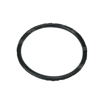 O-kroužek 30,00 x 2,50