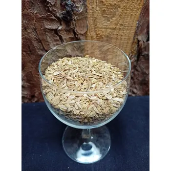 Fenykl plod - Bylinky (Foeniculi fructus)