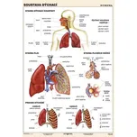 Stiefel Eurocart 7640-104 soustava…