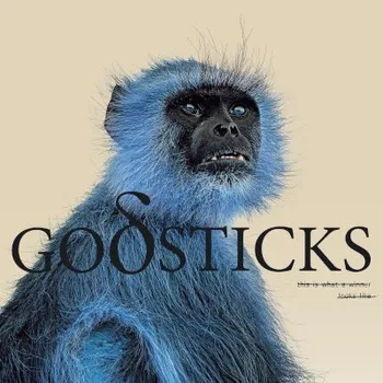 Zahraniční hudba Godsticks - This Is What A Winner Looks Like (CD, KSCOPE777)