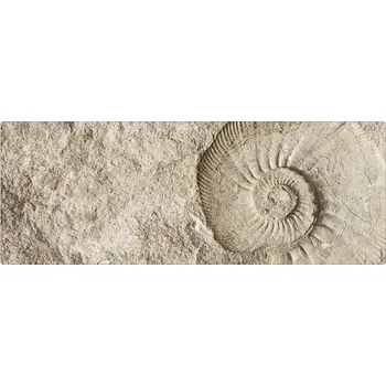 Obklad Koupelnová zádní stěna mySPOTTI aqua Fossil 120x45 cm
