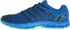 Pánská běžecká obuv Inov-8 Parkclaw 260 M modré/zelené
