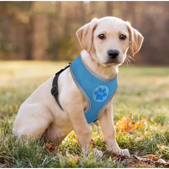 Postroj pro psa PET ARTIST Reflexní postroj PETARTIST pro psa - modrý Velikost: M