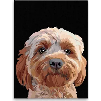 Hračka Malování podle čísel - Chlupáč - 30x40 cm, plátno vypnuté na rám - CZ výroba