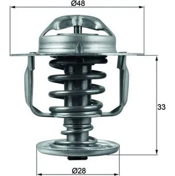 Těsnění motoru Termostat, chladivo MAHLE TX 110 82D