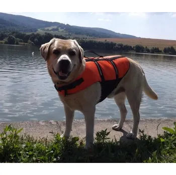 Plovací vesta Vesta záchranná plovací pro psa Velikost: M