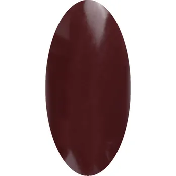 Umělé nehty Laif Barevný UV/LED gel PT - 107 hnědý 6ml