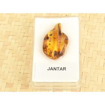 Přírodní kámen Jantar v krabičce (Litva) 2,5g