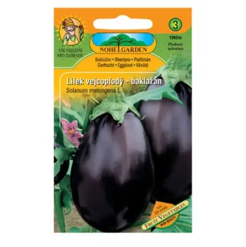 Nohel Garden Lilek vejcoplodý baklažán 60 ks Semeno Nohel Garden Lilek vejcoplodý baklažán 60 ks