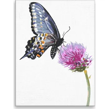 Hračka Malování podle čísel - Motýl na bodláku - 30x40 cm, plátno vypnuté na rám - CZ výroba
