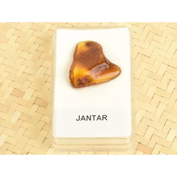 Přírodní kámen Jantar v krabičce (Litva) 1,6g