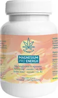 Herbalus Magnesium pro energii 918 mg 90 tbl.