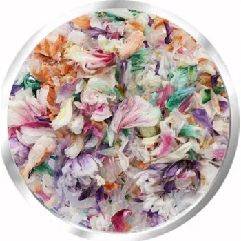 DENATO s.r.o. Sušené květy 6