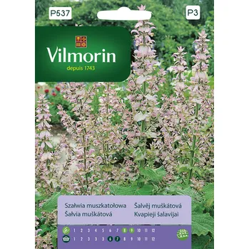 Semeno Vilmorin Šalvěj muškátová 1 g