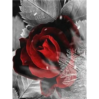 Diamantové malování Diamantové malování - Růže a vločka - č. 753 50x60 cm