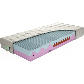 Matrace TEXPOL Matrace MEMO PLUS ROZMĚR: 100 x 200 cm - ATYP
