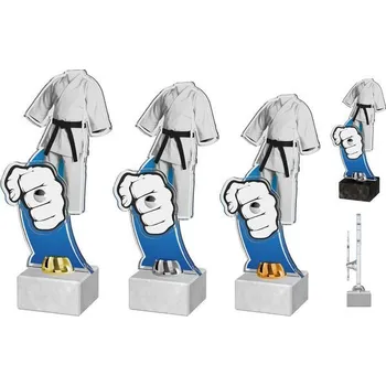 Poháry Bauer Akrylátová trofej ACTD0051M2 | Bojová umění