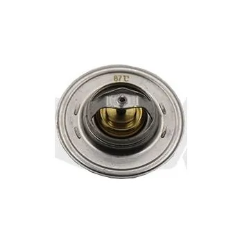 Motor automobilu Termostat, chladivo VIKA 11210095101