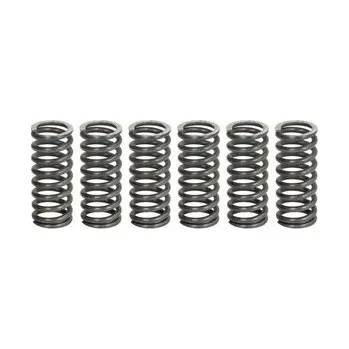 Spojkové pružiny TRW Yamaha WR 250 X 10-15