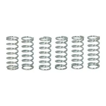 Spojkové pružiny TRW Suzuki DR-Z 400 00-06